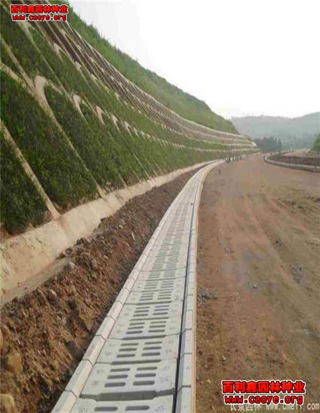 内蒙高速路边坡种草播 内蒙高速路边坡种草播