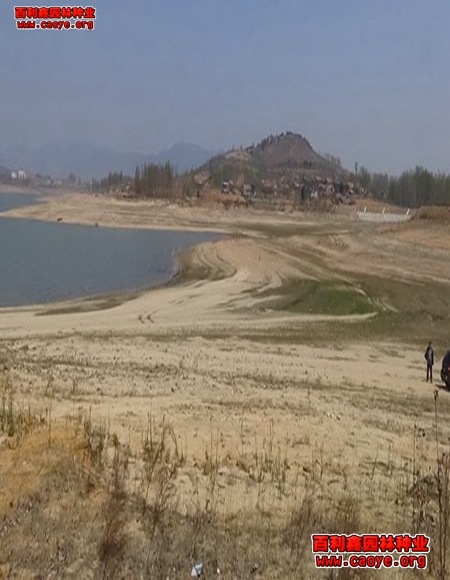 广西路基边坡种草 广西路基边坡种草