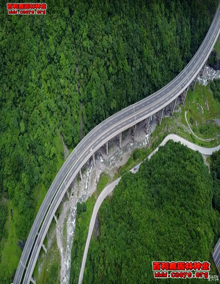 内蒙高速路边坡种草播 内蒙高速路边坡种草播