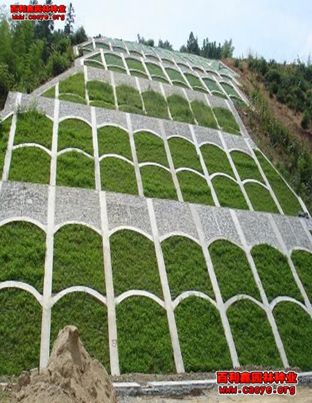 云南护坡种草用三维植被网 云南护坡种草用三维植被网