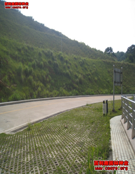 路基护坡工程需要哪些种子耐寒的种子批发 路基护坡工程需要哪些种子耐寒的种子批发