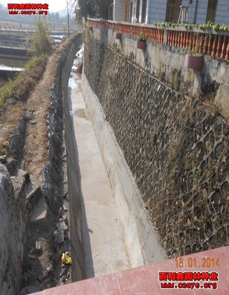 公路边坡种植