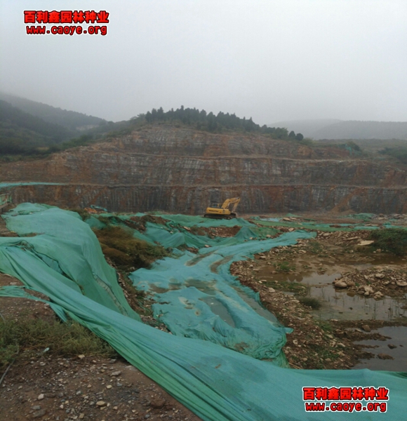 公路边坡种植
