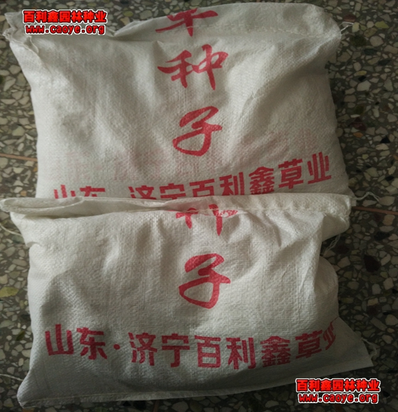 边坡草种报价