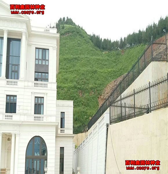 边坡绿化方式有哪几种 边坡绿化方式有哪几种