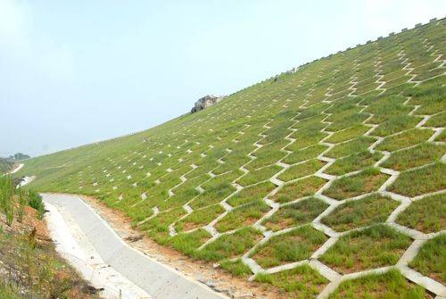 边坡喷播草籽种类 边坡喷播草籽种类