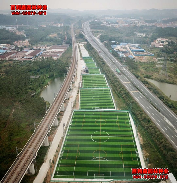 路堑边坡适宜种植树种 路堑边坡适宜种植树种